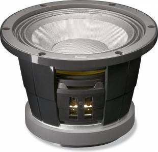 Pioneer TS-W252PRS