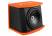 DL Audio Barracuda 12A
