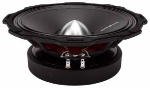 Rockford Fosgate PPS8-10