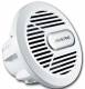 Alpine SWR-M100W