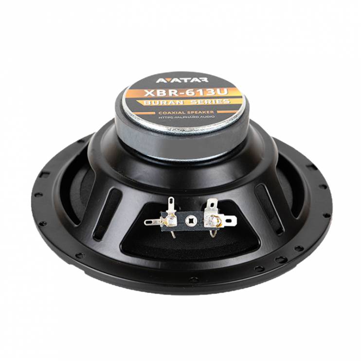  Avatar XBR-613U