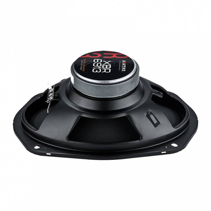 Avatar XBR-6913