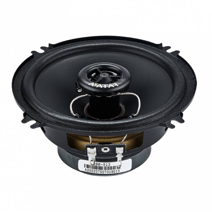 Avatar XBR-513