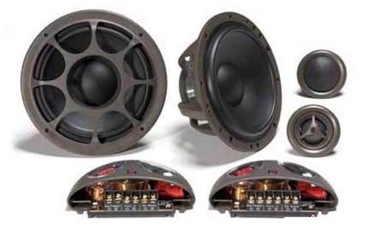 Morel Hybrid 502