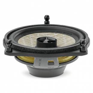 Focal IC MBZ100