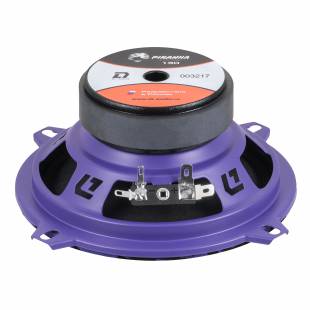 DL Audio Piranha 130