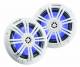 Kicker KM604WL