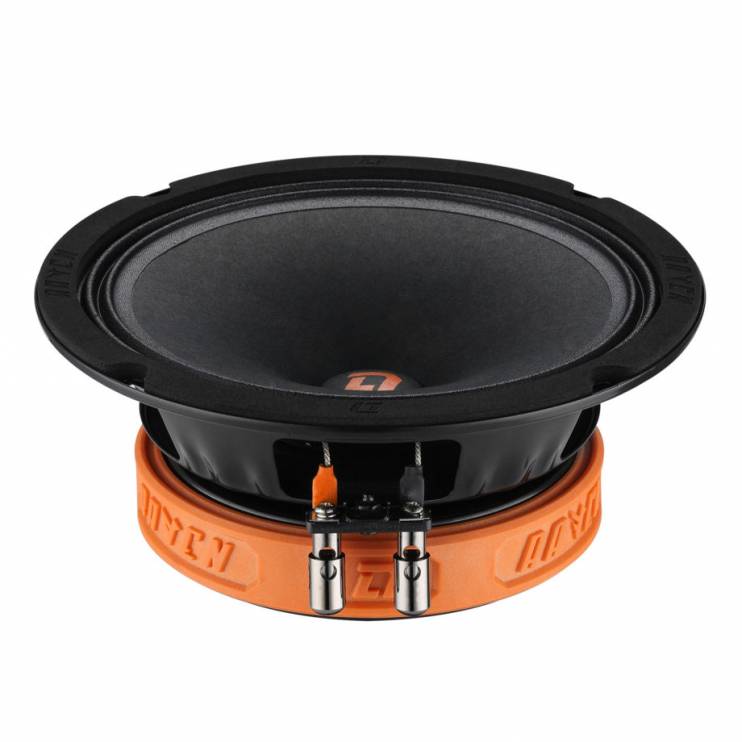 DL Audio Raven 165 V.2