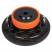 DL Audio Barracuda 10 Flat