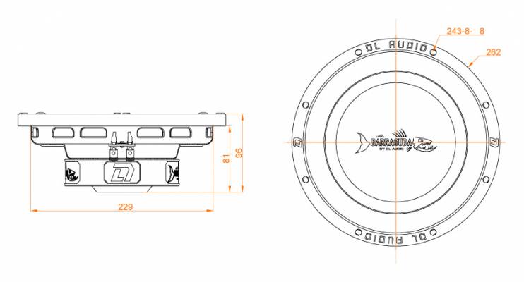 DL Audio Barracuda 10 Flat