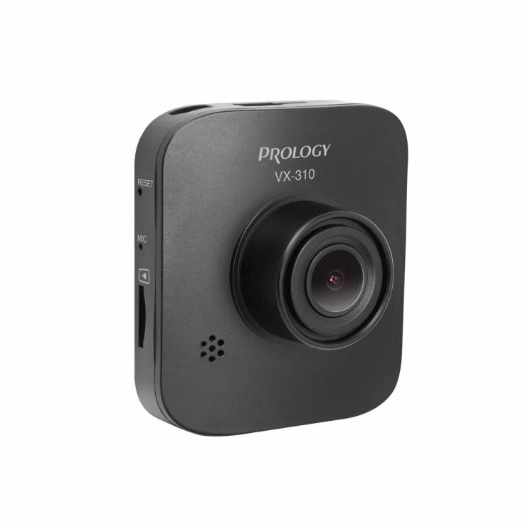 PROLOGY VX-310