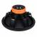 DL Audio Raven 18